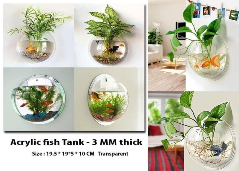 Creative Acrylic Hanging Wall Mount Fish Tank